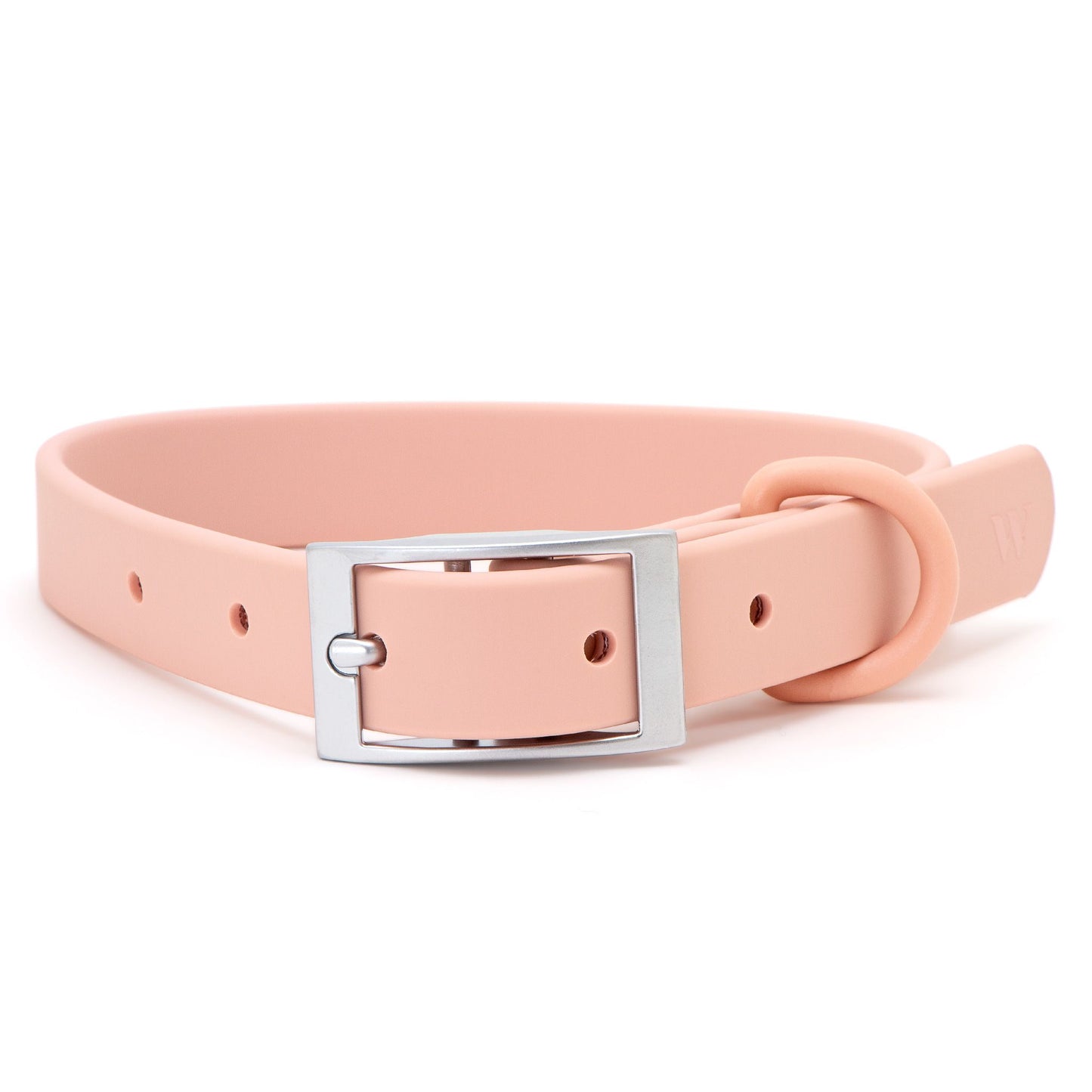 Wild One Dog Collar